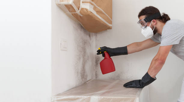 Professional Mold Cleanup technician working in Four Oaks, NC