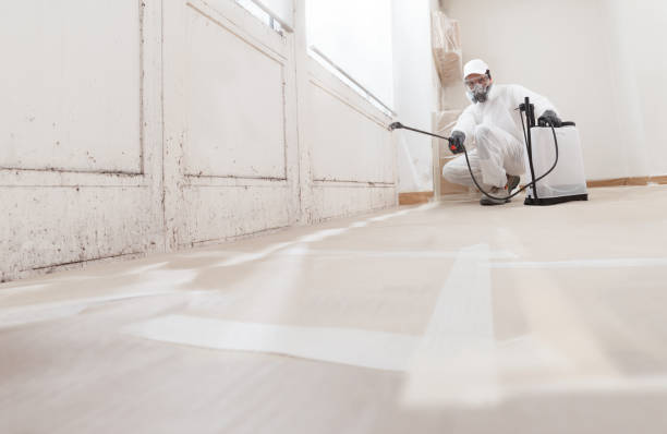 24/7 Emergency Mold Cleanup experts in Four Oaks, NC