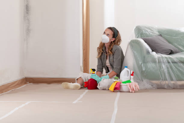 Reliable Mold Cleanup contractor in Four Oaks, NC by Cheap Mold Removal